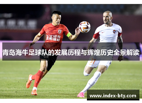 青岛海牛足球队的发展历程与辉煌历史全景解读